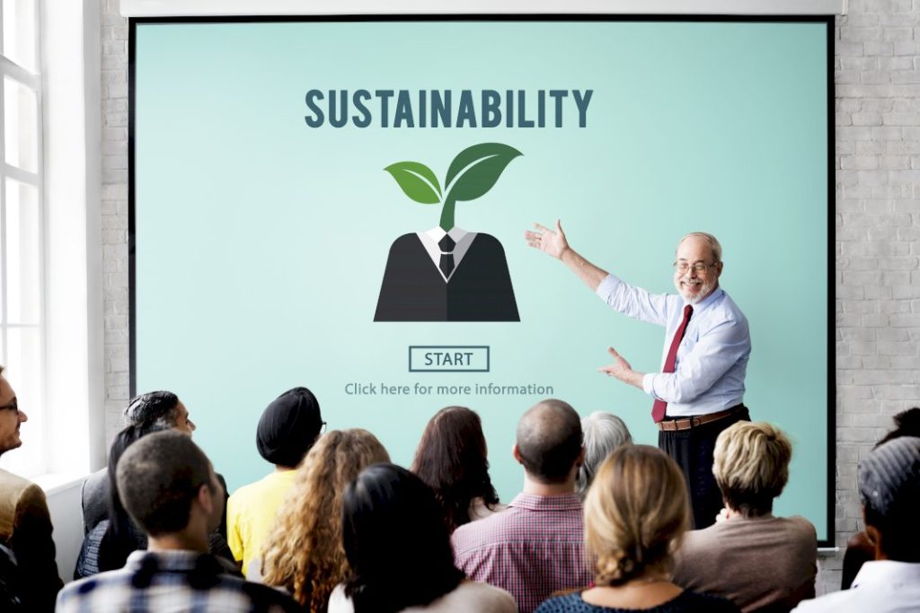 Environmental Sustainability in Startups